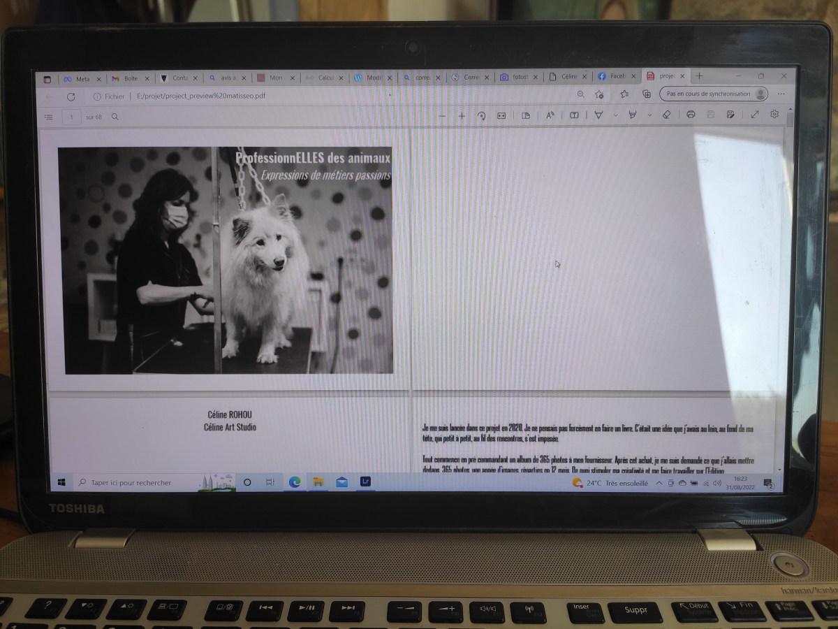 Projet artistique, ça&nbsp;continue