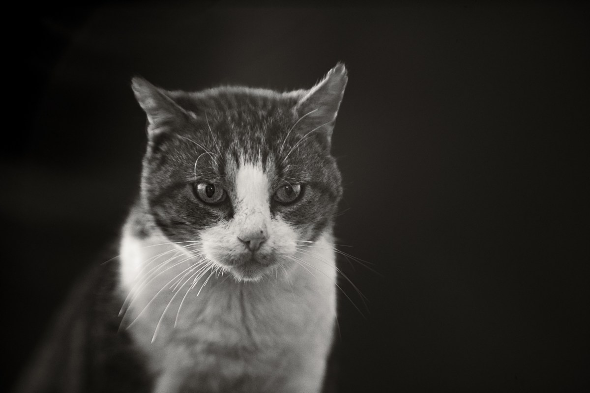 FotoTruck…mais pas que